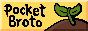 button link for pocketbroto website